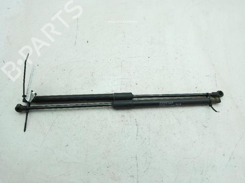 tailgate-lift-support-citroen-c3-iii-sx-2016-24545203 main image