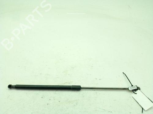 Tailgate lift support NISSAN QASHQAI I (J10, NJ10) 1.6 dCi | BP29151551C138 
