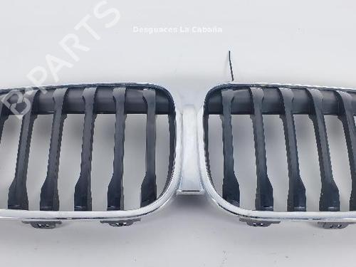 Used Grille BMW X1 (F48) sDrive 18 i (136 hp) 24042447