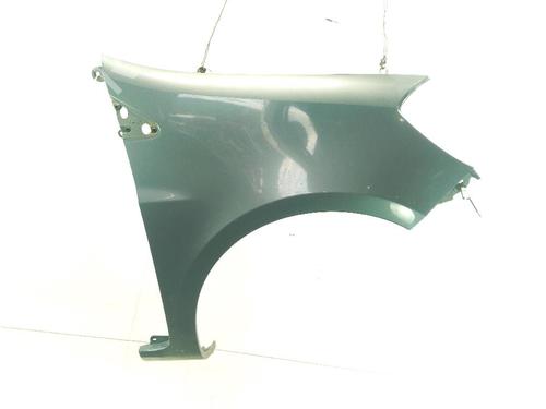 Used Right front fenders RENAULT CLIO III (BR0/1, CR0/1) 1.5 dCi (BR17, CR17) (86 hp) 29875909