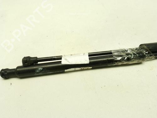 Used Tailgate lift support Tailgate lift support CITROËN C3 II (SC_) 1.4 HDi 70 (SC8HZC, SC8HR0, SC8HP4) (68 hp) 34052901 34052901