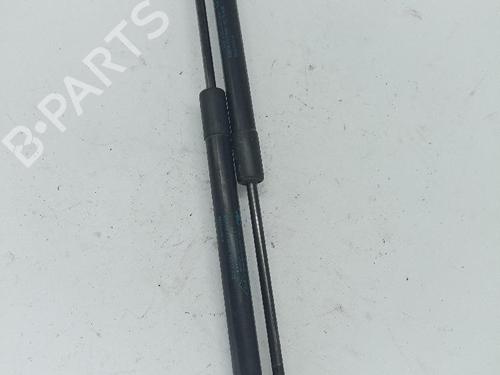 tailgate-lift-support-renault-megane-iii-hatchback-bz01_-b3_-2008-31988536 main image