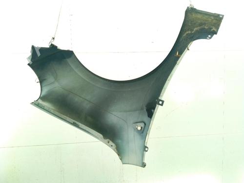 Left front fenders RENAULT KANGOO / GRAND KANGOO II (KW0/1_) 1.5 dCi 90 (KW05, KW08, KW0G, KW11) | BP29421381C41 