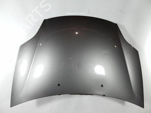 Capot FIAT BRAVO II (198_) 1.6 D Multijet (198AXL1B) (120 hp) 31990337