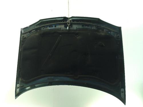 Hood VW GOLF IV (1J1) 1.9 TDI | BP24002961C1 