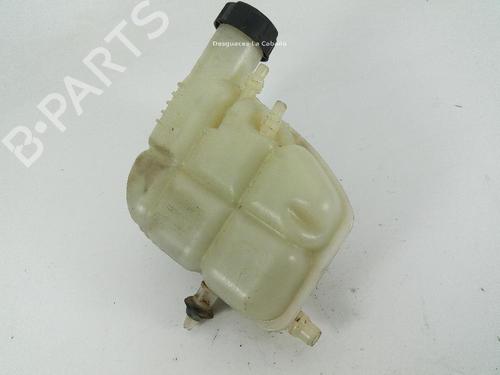 expansion-tank-mini-mini-countryman-f60-2016-24041251 main image