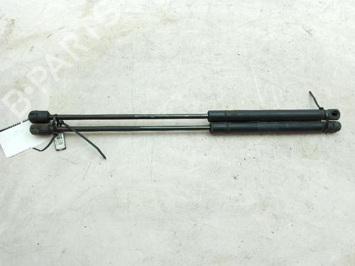 Hood lift support JAGUAR XF I (X250) 3.0 D | BP24000427C139 