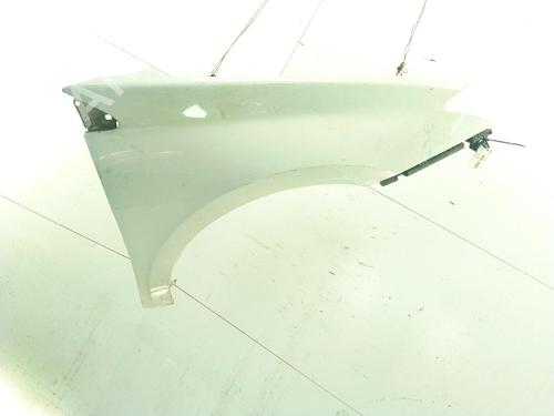 Right front fenders RENAULT LAGUNA III (BT0/1) 2.0 dCi (BT07, BT0J, BT14, BT1A, BT1S) | BP29021757C42 