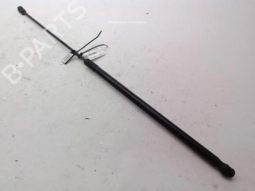 hood-lift-support-vw-golf-v-1k1-2003-2004-2005-2006-2007-2008-2009-2010-25909793 main image