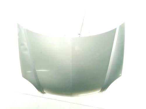 Used Hood RENAULT KANGOO (KC0/1_) 1.5 dCi (KC07) (65 hp) 29861045