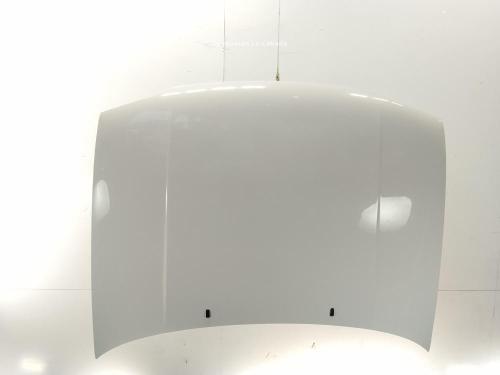 Used Hood Hood VW GOLF III (1H1) 1.9 TDI (90 hp) 40523742 40523742