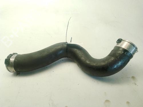 Pipe BMW 1 (F20) 116 d | BP29861010M125 