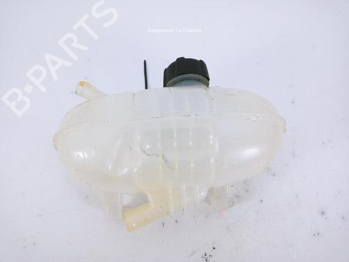 Used Expansion tank RENAULT TRAFIC III Van (FG_) 1.6 dCi 95 (FGMJ, FGMR) (95 hp) 24042125