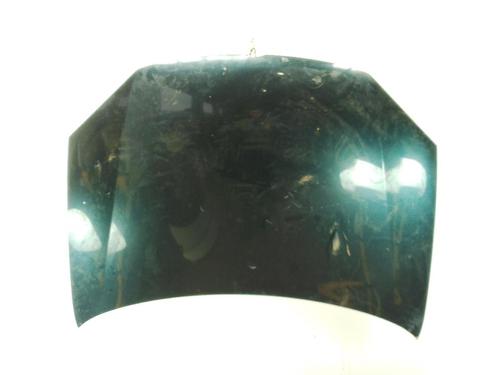 Used Hood VW GOLF V (1K1) 1.9 TDI (105 hp) 24862506