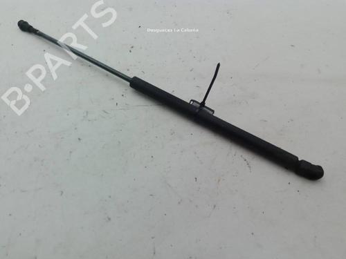 Hood lift support AUDI A3 (8L1) 1.9 TDI | BP29583369C139 