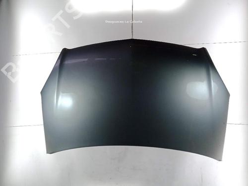 Hood OPEL ZAFIRA / ZAFIRA FAMILY B (A05) 1.7 CDTI (M75) | BP19733821C1 
