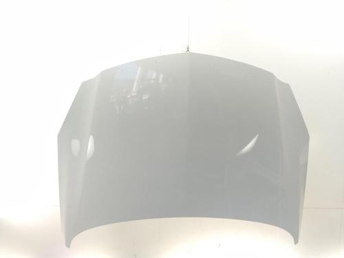 Used Hood Hood OPEL INSIGNIA A Sports Tourer (G09) 2.0 Biturbo CDTI (35) (195 hp) 40442335 40442335
