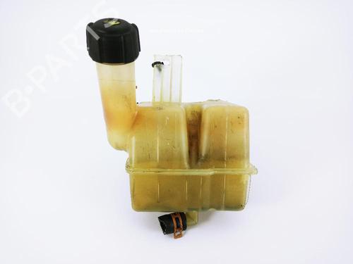 Used Expansion tank RENAULT LAGUNA II (BG0/1_) 1.9 dCi (BG08, BG0G) (120 hp) 19252808