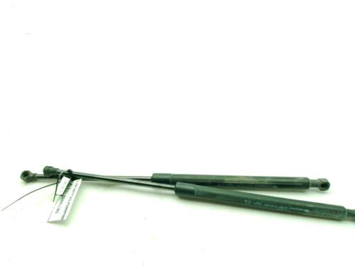 tailgate-lift-support-renault-megane-iv-hatchback-b9amn_-2015-34363462 main image