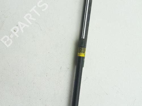 Used Tailgate lift support LEXUS CT (ZWA10_) 200h (ZWA10_) (99 hp) 18364712