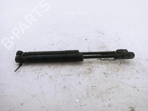 hood-lift-support-bmw-3-f30-f80-2011-2012-2013-2014-2015-2016-2017-2018-24040544 main image