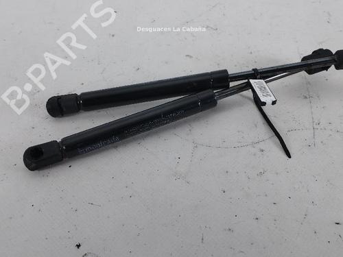 Used Hood lift support RENAULT SCÉNIC III (JZ0/1_) 1.5 dCi (106 hp) 31988828