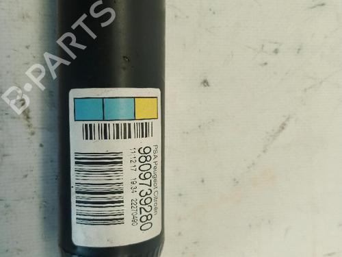 Right rear shock absorber CITROËN C4 CACTUS 1.2 THP 110 | BP26652397M19 - Image 3