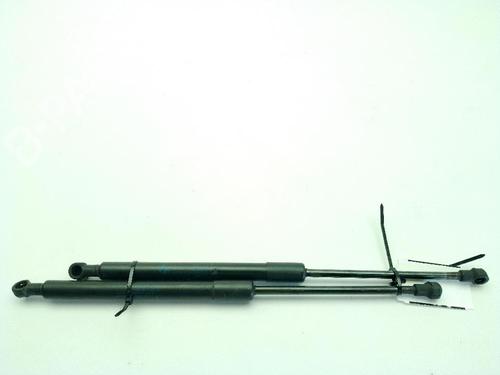 Hood lift support BMW 3 Coupe (E92) 325 d | BP29860894C139