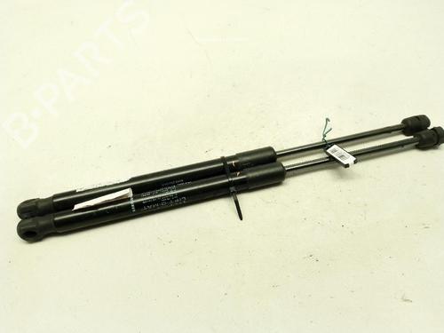 Used Tailgate lift support Tailgate lift support DACIA DUSTER (HS_) 1.5 dCi (HSAJ) (90 hp) 34181341 34181341