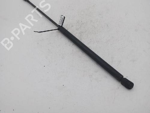 Hood lift support AUDI A3 (8L1) 1.8 | BP18368762C139 