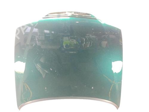 Capot Capot CITROËN XSARA (N1) 1.9 TD (90 hp) 32041636 32041636