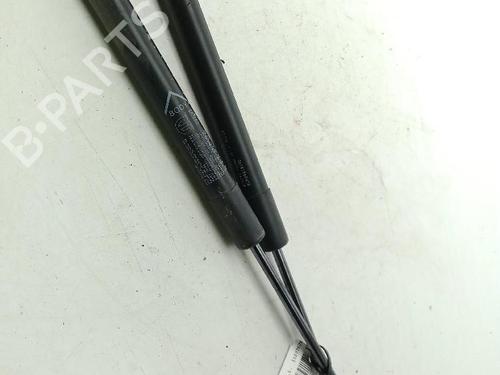 tailgate-lift-support-fiat-500x-334_-2014-32154923 main image