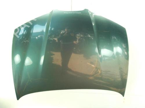 Used Hood SEAT IBIZA III (6L1) 1.4 TDI (70 hp) 25734449