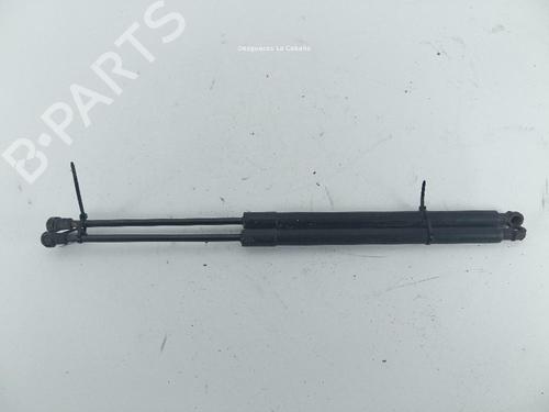 Vérin de coffre/hayon CHEVROLET CAPTIVA (C100, C140) 2.0 D 4WD (150 hp) 31989708