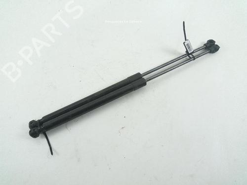 Used Hood lift support NISSAN TOWNSTAR Box Body/MPV (XFK) 1.3 (131 hp) 18889880