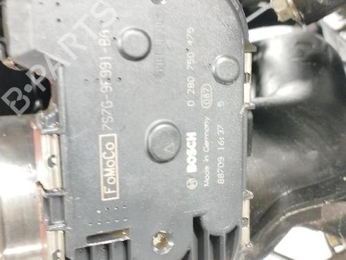 Engine FORD FIESTA VI (CB1, CCN) 1.6 Ti | BP30586833M1