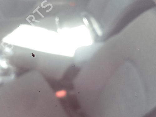 Front wiper motor FORD FOCUS IV (HN) 1.5 EcoBlue | BP18363717M29 