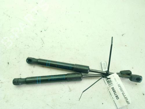 Hood lift support BMW 1 (F20) 116 d | BP29554988C139 