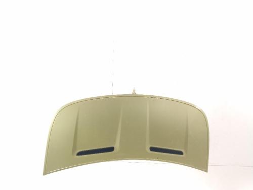 Used Hood Hood SMART FORFOUR (454) 1.3 (454.031) (95 hp) 40218529 40218529
