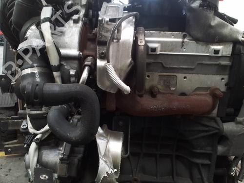 Engine VW GOLF VIII (CD1, DA1) 2.0 TDI | BP28350563M1 