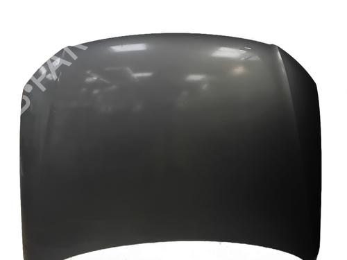 hood-vw-passat-b6-3c2-2005-2006-2007-2008-2009-2010-2011-32043175 main image