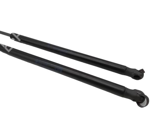 Tailgate lift support FORD C-MAX (DM2) 1.8 TDCi | BP30051636C138 