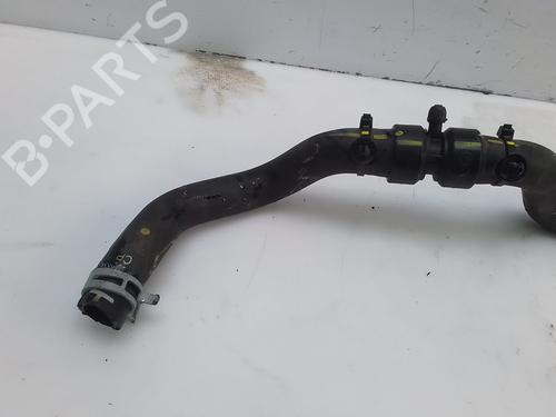 Pipe RENAULT KADJAR (HA_, HL_) 1.3 TCe 140 (HLNB, HLN1) | BP29995430M125 