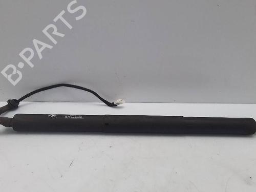 Tailgate lift support BMW X5 (F15, F85) xDrive 30 d | BP22617429C138
