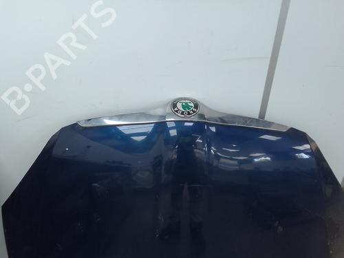 Hood SKODA FABIA II (542) 1.4 | BP29396798C1 