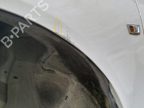 Left front fenders OPEL INSIGNIA A (G09) 2.0 CDTI (68) | BP29021561C41 