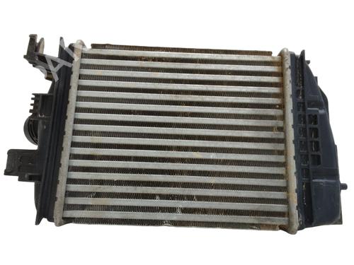 Used Intercooler NISSAN JUKE (F16_) DIG-T 117 (117 hp) 30527166