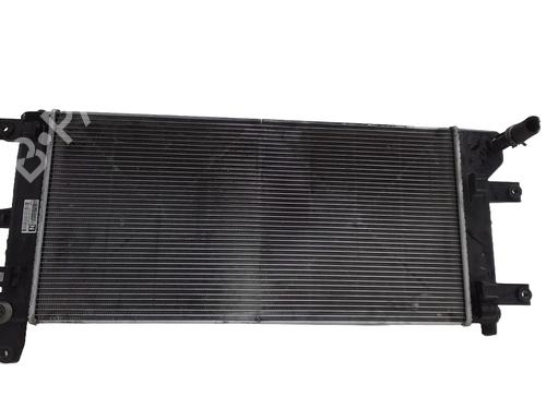 Køler NISSAN LEAF (ZE0) Electric (109 hp) 30677596