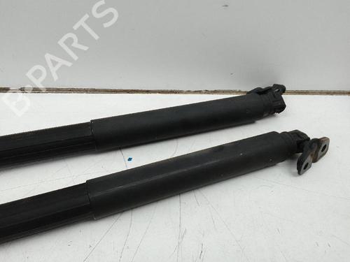 Tailgate lift support BMW 3 Touring (F31) 318 d | BP19028635C138
