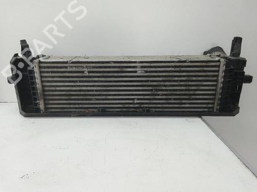 Used Intercooler BMW X4 (G02, F98) xDrive 25 d (231 hp) 18582213